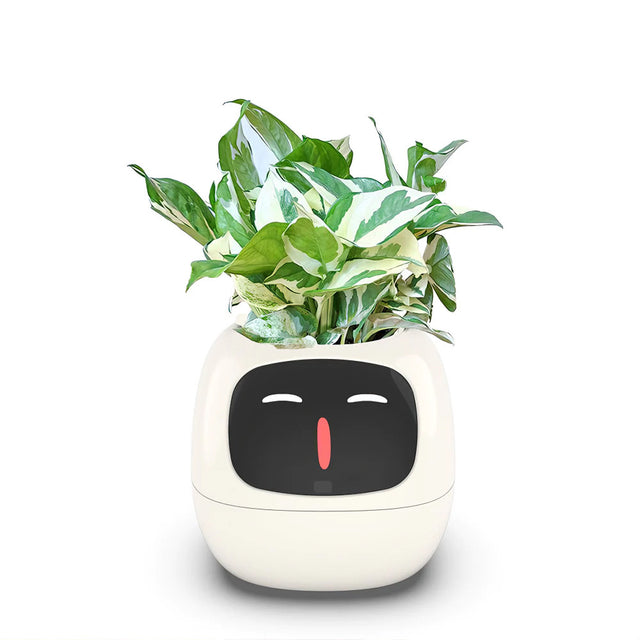 Smart Plant Ivy